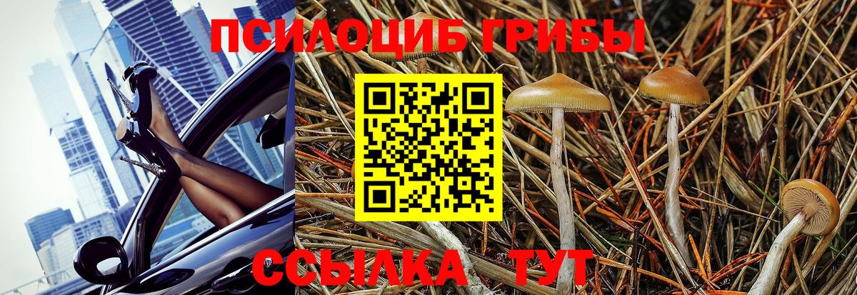 Псилоцибиновые грибы MAGIC MUSHROOMS  Вход с VPN  Псилоцибиновые грибы мицелий  Партизанск 