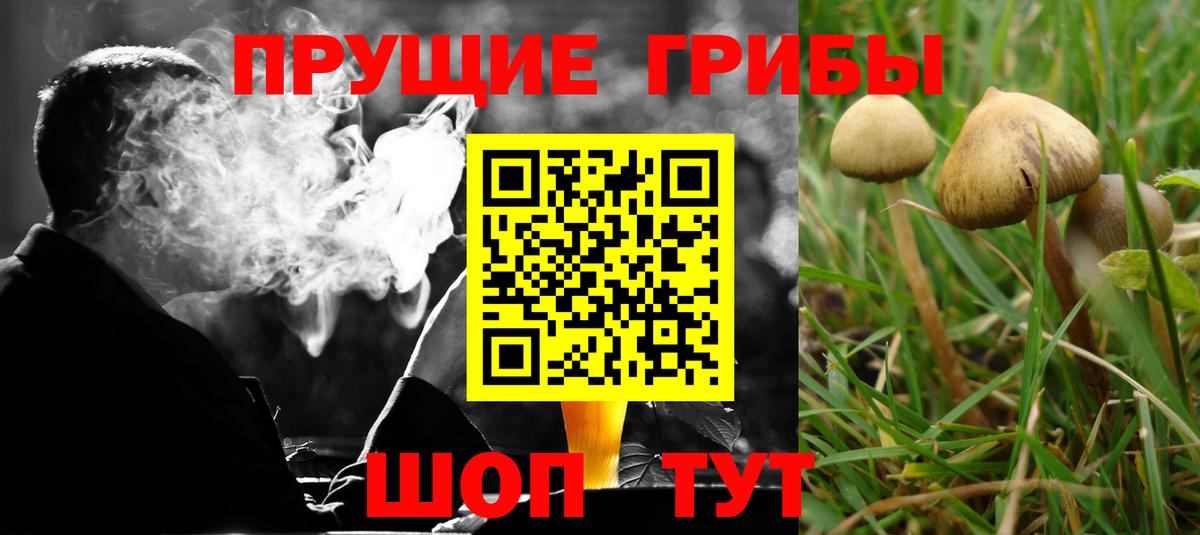 Псилоцибиновые грибы GOLDEN TEACHER Партизанск